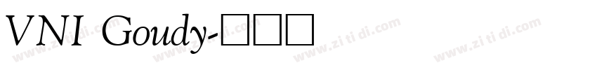 VNI Goudy字体转换